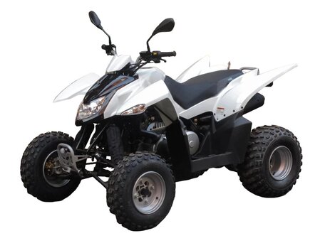 2026 Sym QuadRaider, белый, 228000 рублей, вид 1