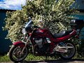 1998 Suzuki Bandit 1200, красный, 320000 рублей - вид 3