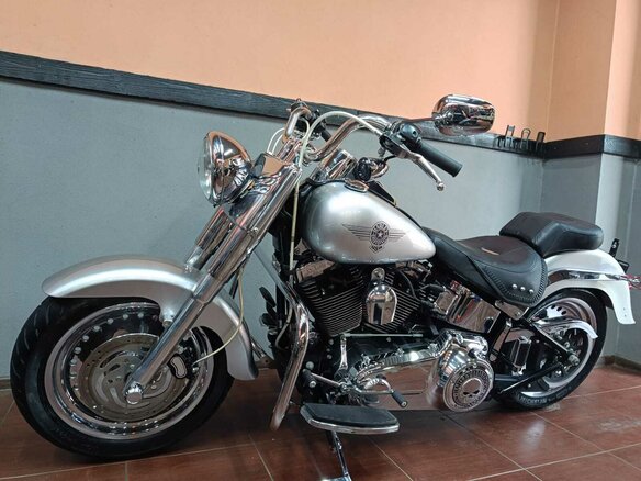 2009 Harley-Davidson Fat Boy, серый, 870000 рублей - вид 11