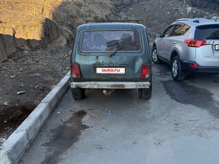 2011 Lada (ВАЗ) 2131 (4x4) Рысь I, серый, 200000 рублей, вид 3