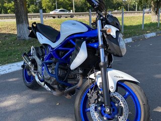 2011 Suzuki SFV 650 Gladius, синий, 405000 рублей, вид 1