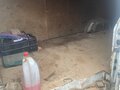 2003 Mercedes-Benz Sprinter, белый, 690000 рублей - вид 4
