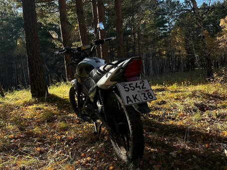 2024 Racer Tiger, серый, 100000 рублей, вид 3