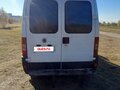 2010 Fiat Professional Ducato, белый, 730000 рублей - вид 2