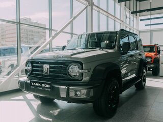 2026 Tank 300 I, серый, 5249000 рублей, вид 2