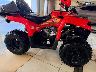 2022 Motax Grizlik 200, красный, 170000 рублей, вид 2