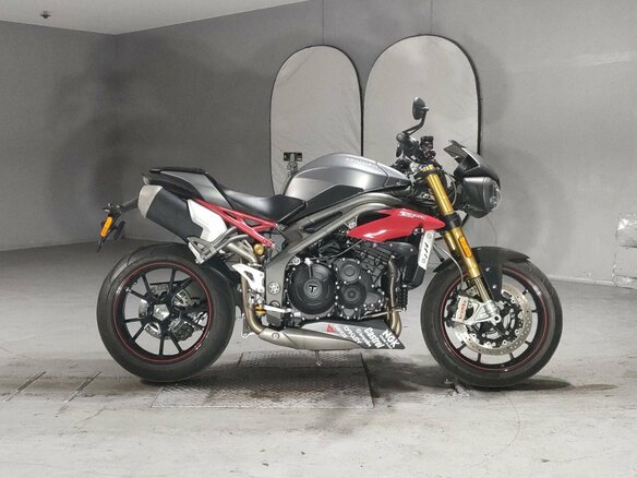 2018 Triumph Speed Triple, серый, 895000 рублей - вид 1