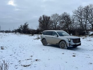 2024 GAC GS8 II, серебристый, 3850000 рублей, вид 1