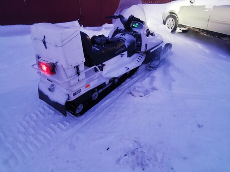 2004 BRP Lynx 6900, белый, 610000 рублей, вид 4