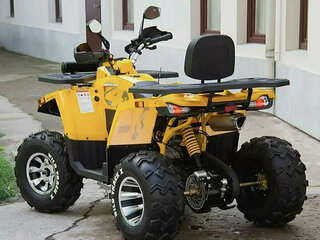 2025 Motoland Wild Track 200 X Pro, жёлтый, 215100 рублей, вид 4