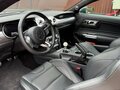 2019 Ford Mustang Bullitt VI Рестайлинг, зелёный, 5000000 рублей - вид 8