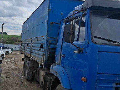 2016 КамАЗ 65117, синий, 1690000 рублей, вид 4