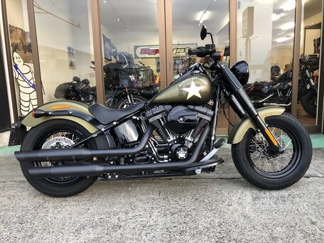 2016 Harley-Davidson Softail Slim, зелёный, 1770000 рублей, вид 2