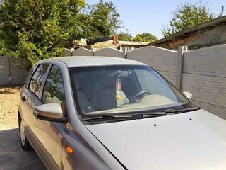 2007 Lada (ВАЗ) Kalina I, серый, 345000 рублей, вид 1