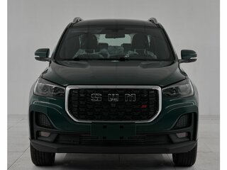 2024 SWM G05 Pro, зелёный, 1865000 рублей, вид 2