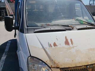 2007 ГАЗ ГАЗель (3302), белый, 700000 рублей, вид 1