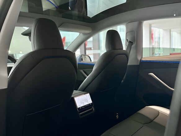 2025 Tesla Model Y Standard I Рестайлинг, серебристый - вид 16
