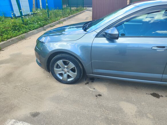 2017 Skoda Octavia III (A7), серый, 1495000 рублей - вид 9