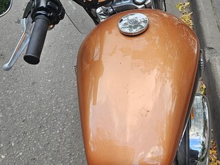 2008 Harley-Davidson Sportster 1200, коричневый, 600000 рублей, вид 2