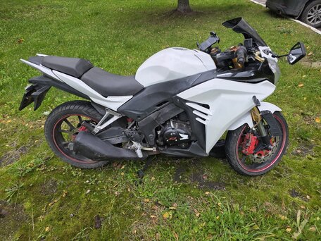 2014 S2 Motors Panther CBR250, белый, 110000 рублей, вид 1