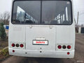 2016 ПАЗ 4234, белый, 650000 рублей - вид 5