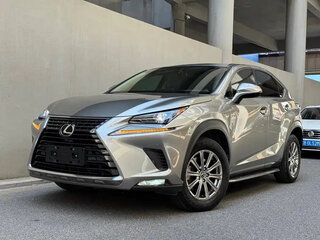 2020 Lexus NX 200 I Рестайлинг, серый, 3200000 рублей, вид 2