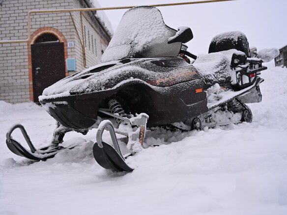 2003 Arctic Cat Pantera, коричневый, 630000 рублей - вид 4