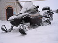 2003 Arctic Cat Pantera, коричневый, 630000 рублей - вид 4