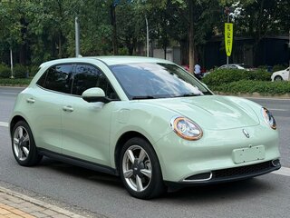 2022 Ora Good Cat 46 kWh I, зелёный, 1565000 рублей, вид 3