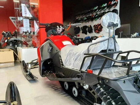 2025 Motax Snow Cat, красный, 201800 рублей, вид 2