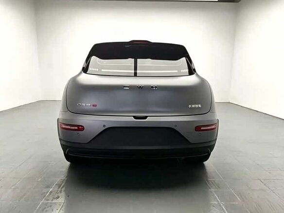 2025 Ora 5 45 kWh, серебристый, 3050000 рублей - вид 5
