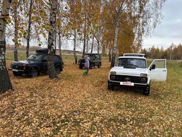 1981 Lada (ВАЗ) 2121 (4x4) I, белый, 190000 рублей - вид 5