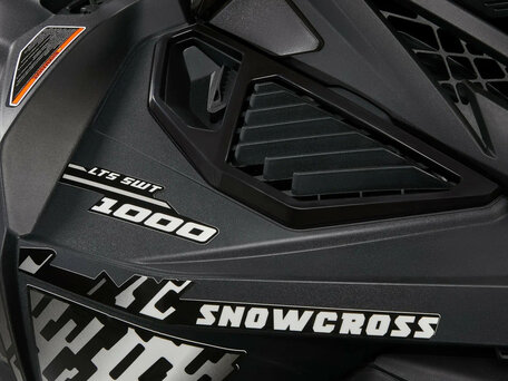 2025 AODES (Odes) Snowcross 1000, чёрный, 999000 рублей, вид 4