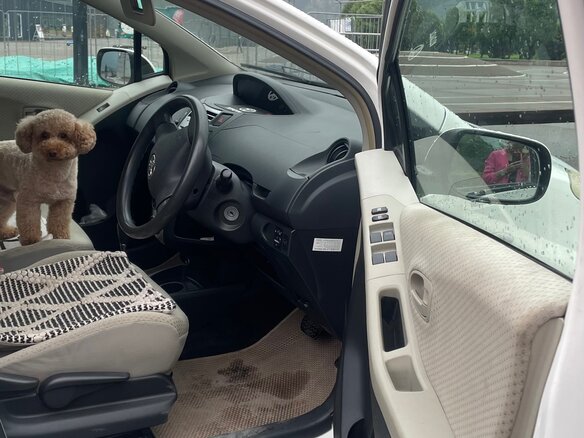 2006 Toyota Vitz II (XP90), белый, 520000 рублей - вид 5