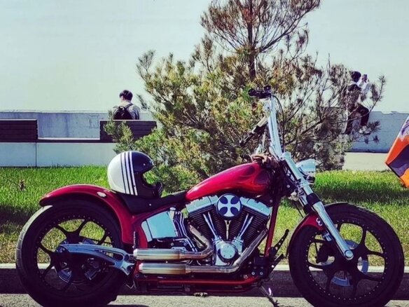 2007 Harley-Davidson Softail Custom, пурпурный, 1654000 рублей - вид 5