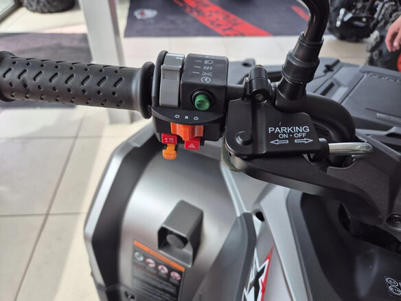 2026 Loncin XWolf 300 Max, серый, 485000 рублей - вид 6
