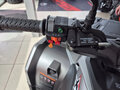 2026 Loncin XWolf 300 Max, серый, 485000 рублей - вид 6
