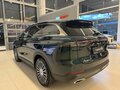 2025 Chery Tiggo 9 I, зелёный, 4640000 рублей - вид 9