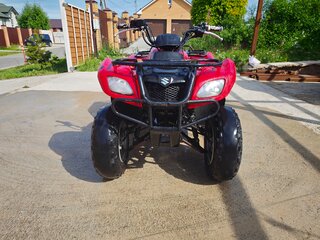 2008 Suzuki Ozark 250, красный, 219000 рублей, вид 2