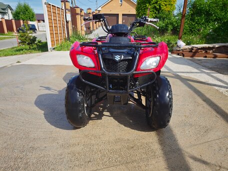 2008 Suzuki Ozark 250, красный, 219000 рублей, вид 2
