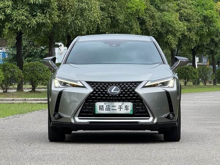 Открыть фотографии: Lexus UX I