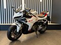 2026 QJMotor SRK 421 RR, белый, 629000 рублей - вид 6