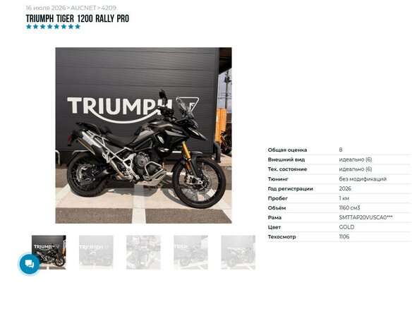 2025 Triumph Tiger 1200, серый - вид 10
