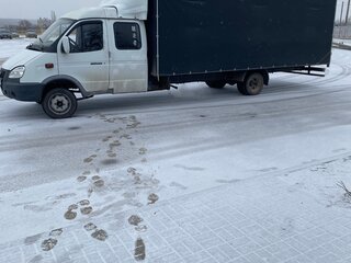 2006 ГАЗ ГАЗель (33023/330273) Фермер, белый, 1100000 рублей, вид 2
