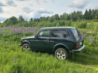 2023 Lada (ВАЗ) Niva Legend I, зелёный, 800000 рублей, вид 5