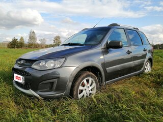 2017 Lada (ВАЗ) Kalina Cross II, серый, 630000 рублей, вид 1