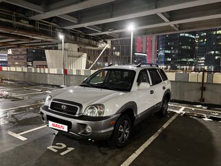 2003 Hyundai Santa Fe I, белый, 900000 рублей, вид 2