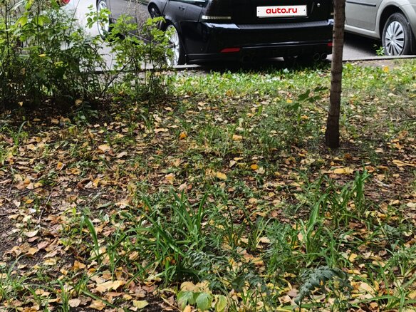 2011 Lada (ВАЗ) Priora I, чёрный, 450000 рублей - вид 8