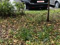 2011 Lada (ВАЗ) Priora I, чёрный, 450000 рублей - вид 8