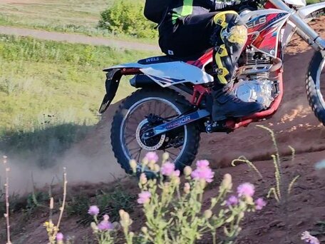 2022 Wels MX250R, белый, 70000 рублей, вид 1